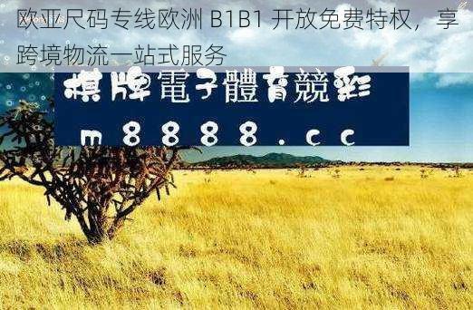 欧亚尺码专线欧洲 B1B1 开放免费特权,享跨境物流一站式服务