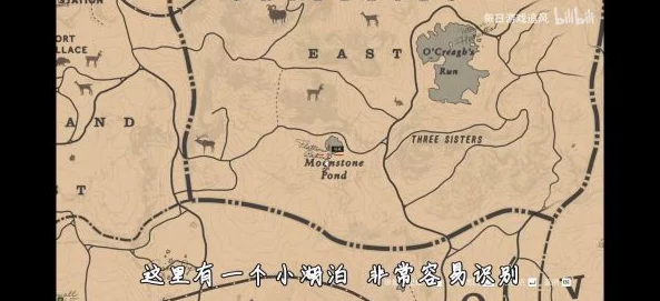 荒野大镖客：全面攻略！稀有武器获取方法与技巧详解