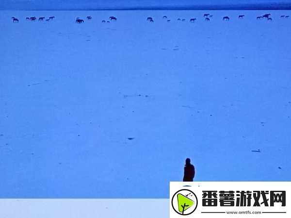 无人区一码二码三码四码-1.-无人区探秘：从一码到四码的神秘之旅