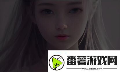 成品站1.1.719版本优化解读-提升建站效率与SEO表现