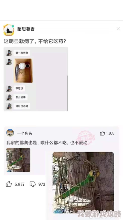 男人使劲躁女人下面的视频引发热议网友纷纷讨论视频内容是否过于露骨并对男女关系的表现方式提出不同看法