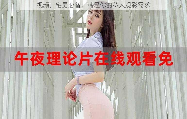 视频,宅男必备,满足你的私人观影需求
