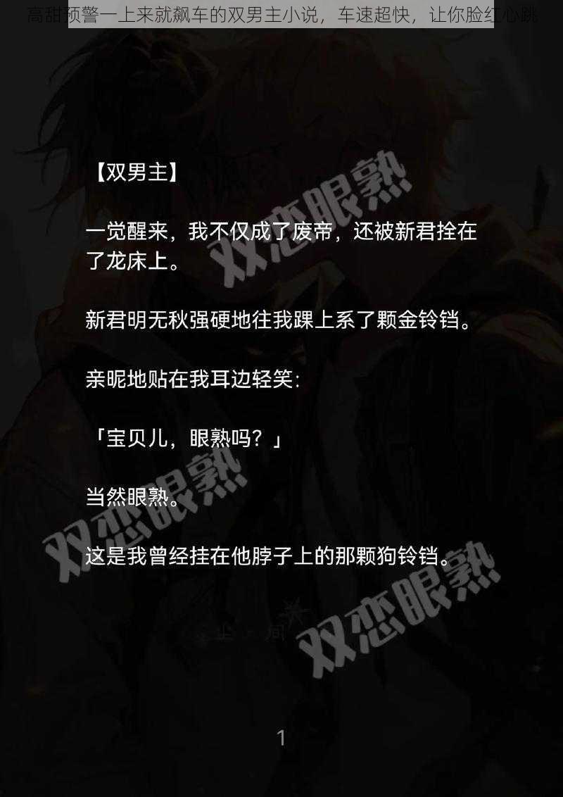 高甜预警一上来就飙车的双男主小说,车速超快,让你脸红心跳