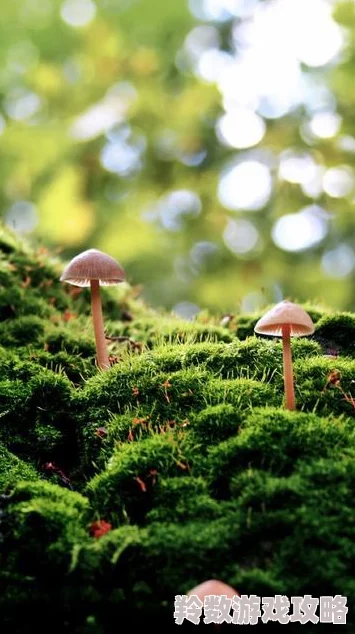 黄色免费黄色在生活中传递着积极向上的能量让我们一起享受阳光带来的温暖与快乐勇敢追求梦想创造美好未来