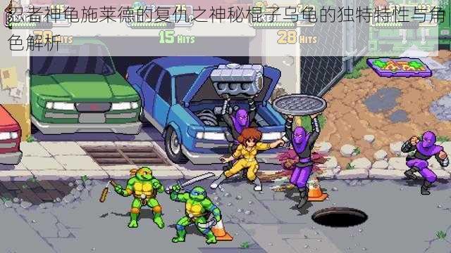 忍者神龟施莱德的复仇之神秘棍子乌龟的独特特性与角色解析