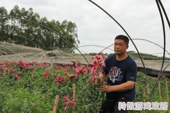 木瓜奇迹游戏圣导师角色加点攻略：高效圣导师加点方法与技巧解析