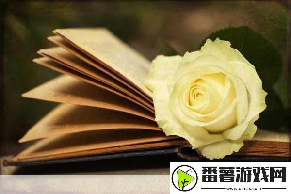 双子母线1