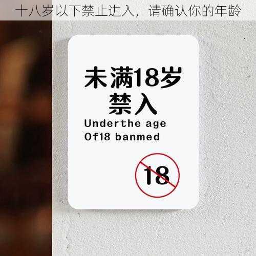 十八岁以下禁止进入，请确认你的年龄