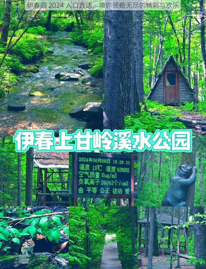 伊春园 2024 入口直达，带你领略无尽的精彩与欢乐
