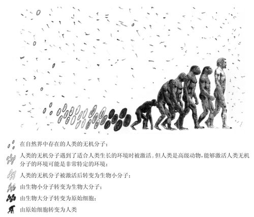 探索生命之源：恐鸟蛋的秘密与我的起源之谜