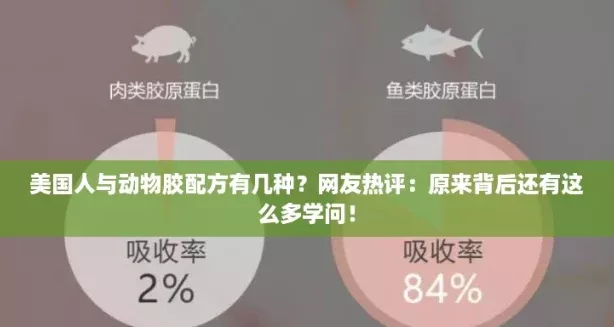 美国人与动物胶配方有几种-网友热评：原来背后还有这么多学问！