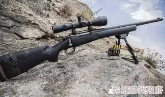 《萤火突击》游戏中SVDS狙击步枪全面性能与特点介绍