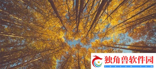 妈妈先是拒绝后是迎合的句子