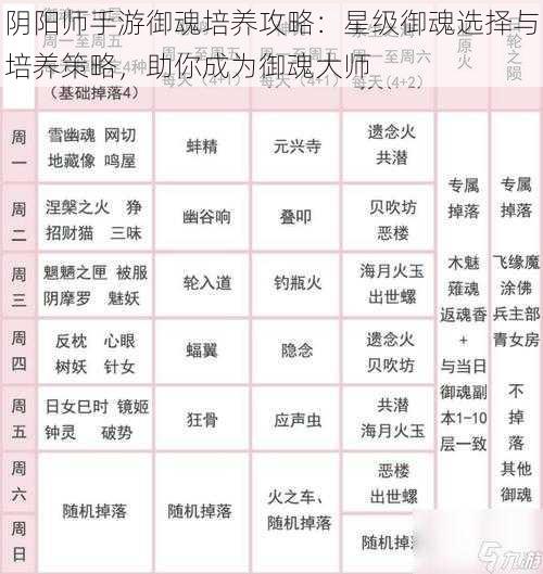 阴阳师手游御魂培养攻略:星级御魂选择与培养策略,助你成为御魂大师