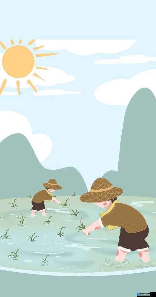 夫妻插秧 100 种方法图片大全之详细解读与插秧技巧分享