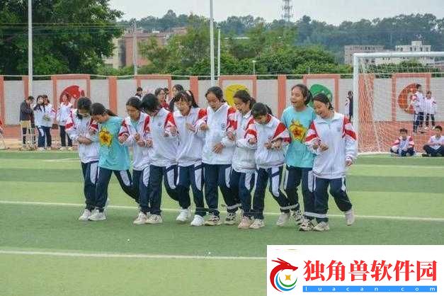 YN荡校园运动会：激情绽放的青春赛场