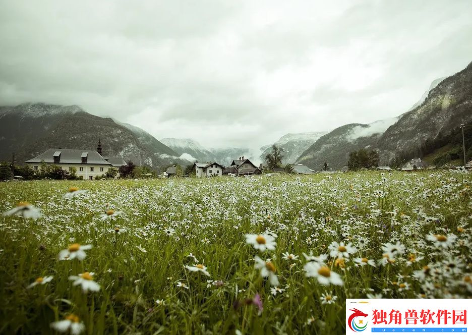 大叔你好坏大叔摇起来是什么歌让我们一起揭秘这首神曲