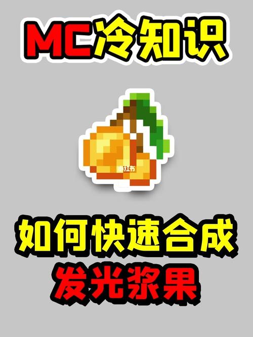 我的世界：火炬浆果的神秘功能与高效获取方法详解