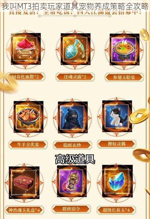 我叫MT3拍卖玩家道具宠物养成策略全攻略