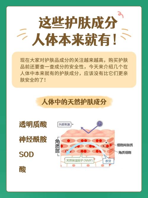 17c 起草红桃国际，天然成分，有效改善睡眠