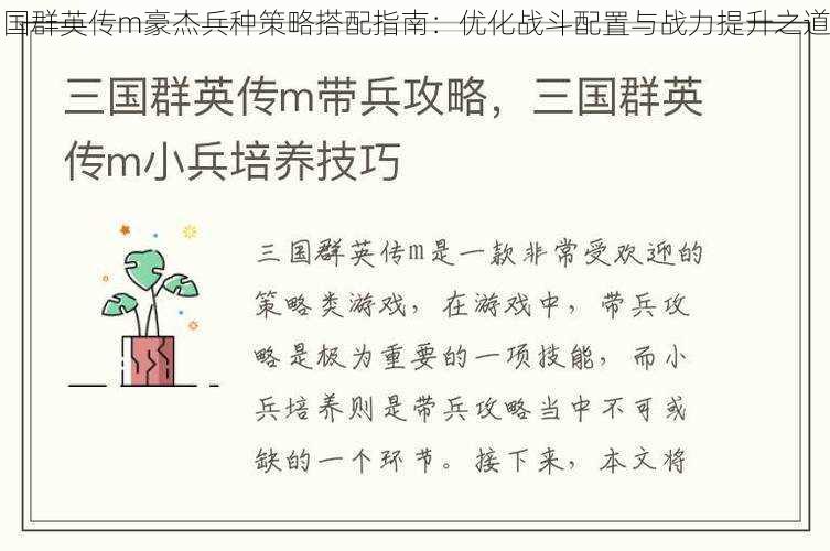 国群英传m豪杰兵种策略搭配指南：优化战斗配置与战力提升之道