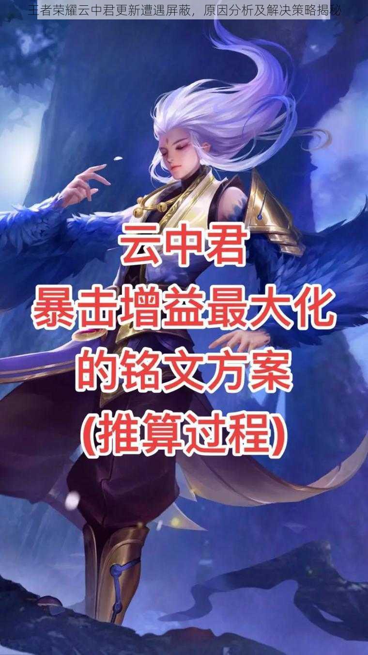 王者荣耀云中君更新遭遇屏蔽,原因分析及解决策略揭秘