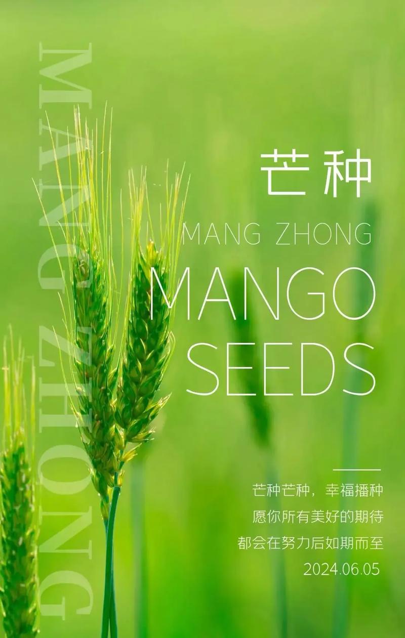 需要妈妈播种美国，给你带来高品质生活