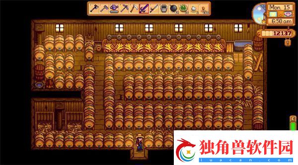 星露谷物语芒果树种哪里-星露谷物语芒果树种植位置