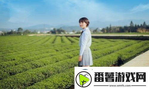 免费网站在线观看人数更新时间观众表示：即时更新与用户需求的精准结合是关键