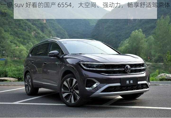 一级 suv 好看的国产 6554,大空间、强动力,畅享舒适驾乘体验