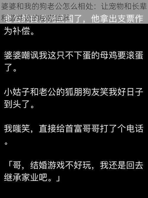 婆婆和我的狗老公怎么相处:让宠物和长辈和谐共处的秘密武器