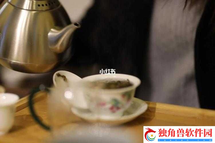 温茶-poH：品味茶香的宁静时光
