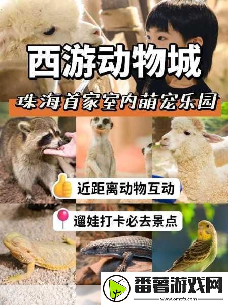 天谕手游探索指南
