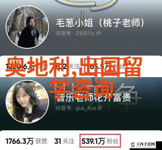 相对湿度 HZ 下小神 J 教程:详细步骤与注意事项解析