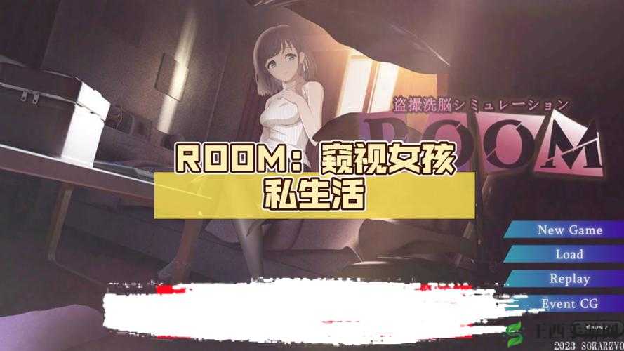 RoomGirl:探索虚拟世界中的少女梦想与情感之旅