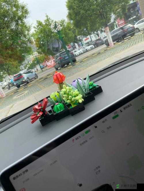 高+n+车多肉多 p：畅享高品质车与丰富多肉的精彩世界