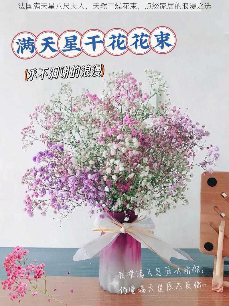 法国满天星八尺夫人,天然干燥花束,点缀家居的浪漫之选