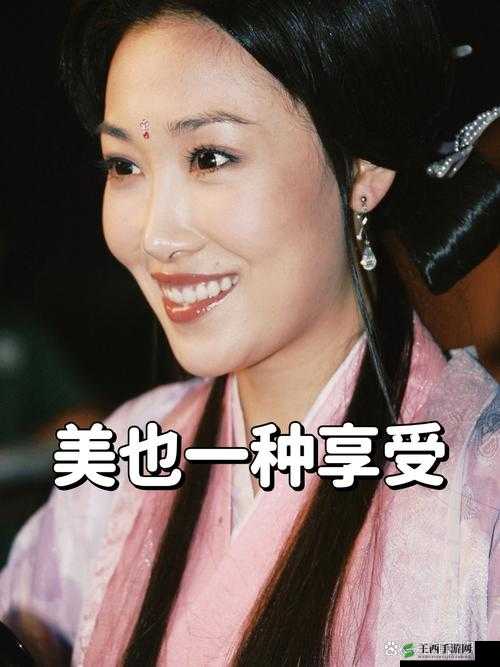 久久久精品一区二区三潘金莲：经典之作的独特魅力探讨