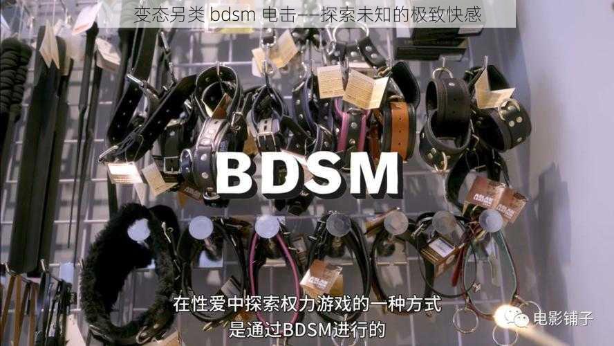 变态另类 bdsm 电击——探索未知的极致快感
