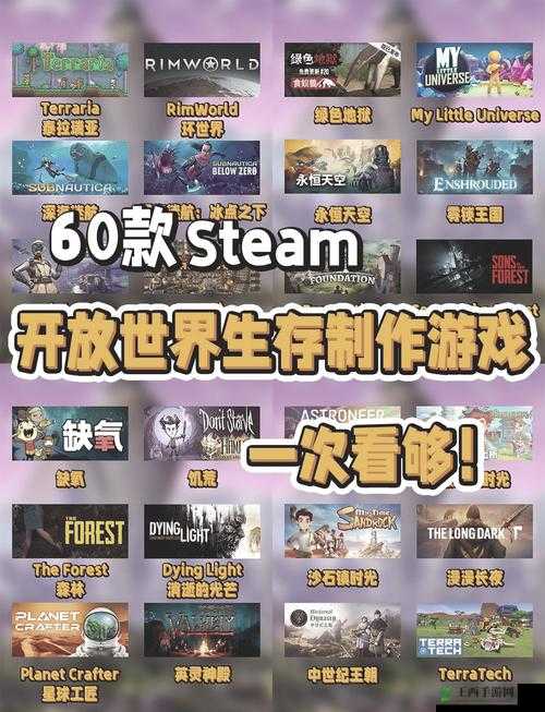 男人的私密探险：深入未知领域的游戏