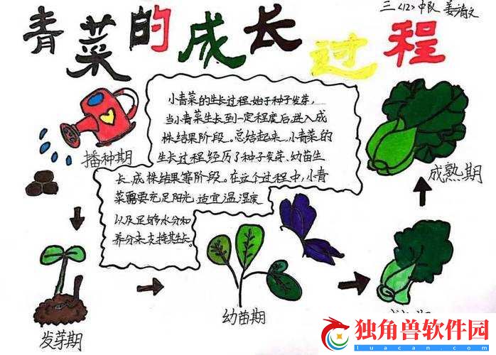 小时体验种田生活：如何高效规划人生中的种植时光