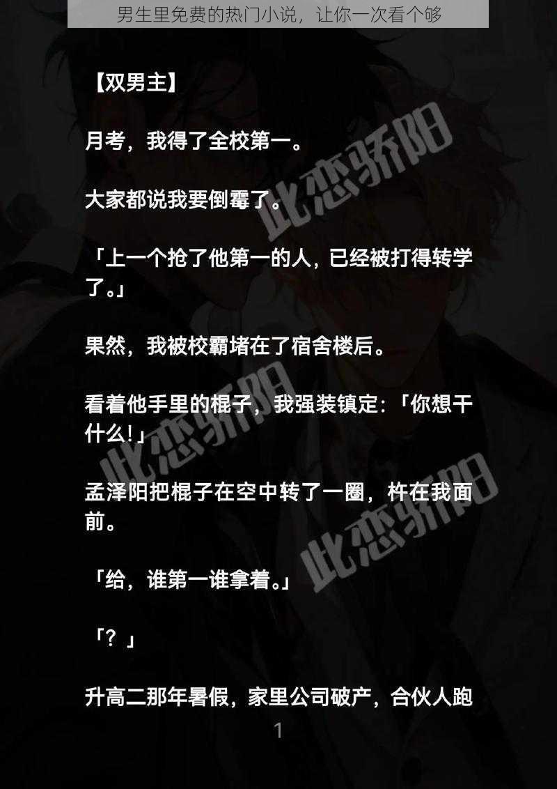 男生里免费的热门小说,让你一次看个够