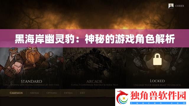 黑海岸幽灵豹：神秘的游戏角色解析