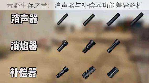 荒野生存之音:消声器与补偿器功能差异解析