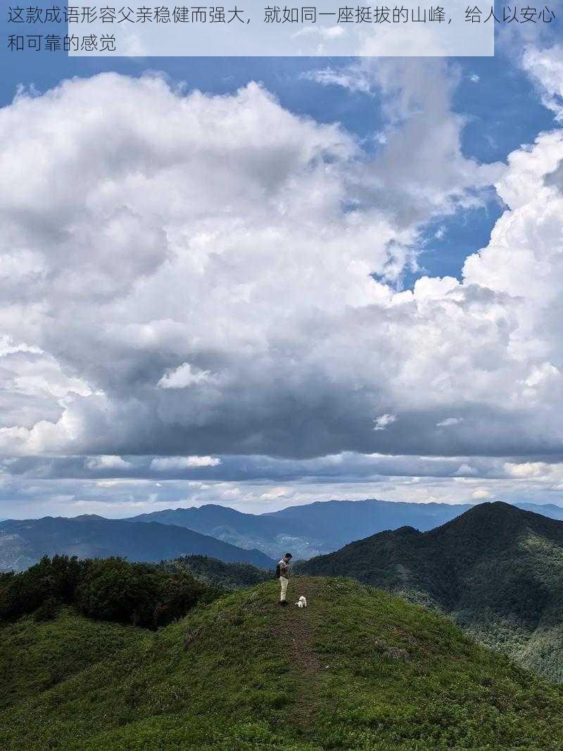 这款成语形容父亲稳健而强大,就如同一座挺拔的山峰,给人以安心和可靠的感觉
