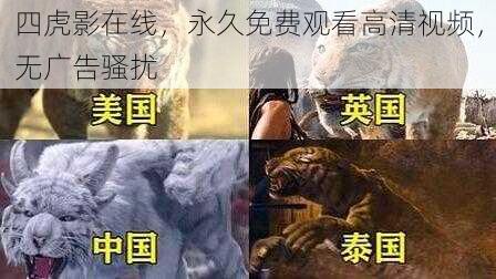 四虎影在线，永久免费观看高清视频，无广告骚扰