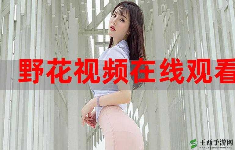 野花日本韩国视频免费高清观看宣布免费- 无限制畅享精彩内容