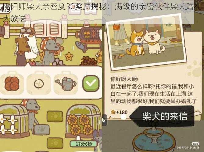 阴阳师柴犬亲密度30奖励揭秘:满级的亲密伙伴柴犬赠礼大放送