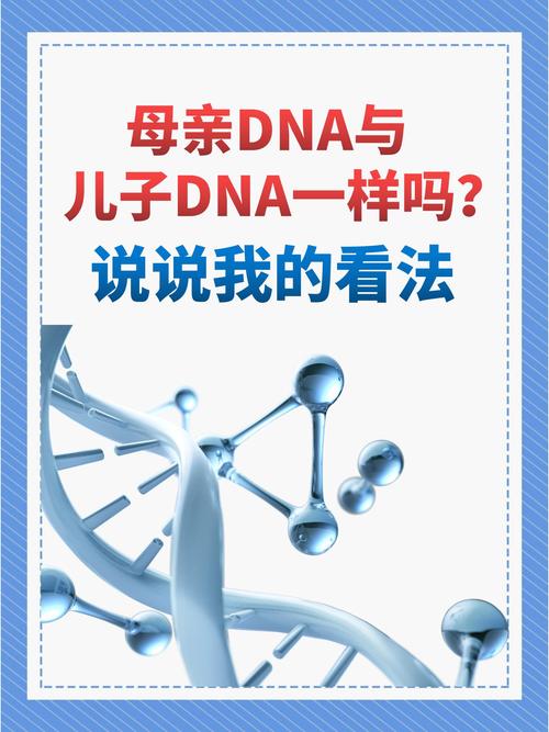 母亲的DNA与儿子的DNA免费不花钱，网友：这到底是什么神奇的缘分？
