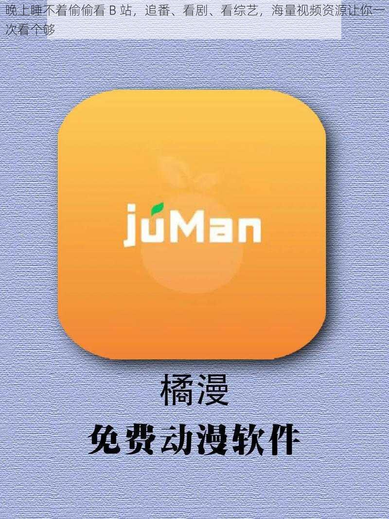 晚上睡不着偷偷看 B 站，追番、看剧、看综艺，海量视频资源让你一次看个够